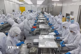 Chế biến thủy sản xuất khẩu. (Ảnh: TTXVN phát)