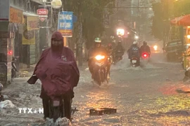 Ảnh minh họa. (Nguồn: TTXVN phát)