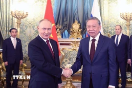 Tổng Bí thư Tô Lâm hội đàm hẹp với Tổng thống Nga Vladimir Putin. (Ảnh: Thống Nhất/TTXVN)