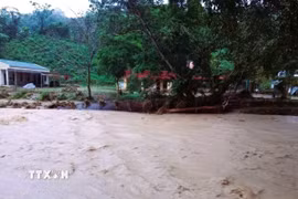 Mực nước trên các con sông, suối ở miền núi phía Tây Nghệ An dâng cao, dòng chảy mạnh, màu nước đục ngầu mang theo nhiều bùn đất, thân, cành cây. (Ảnh: TTXVN phát)