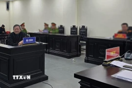 Bị cáo Trần Đình Triển tại phiên xét xử sơ thẩm. (Ảnh: Kim Anh/TTXVN)