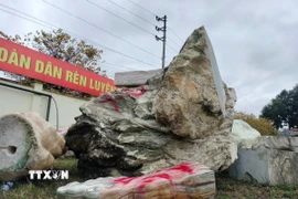 Hàng nghìn tấn đá cảnh trái phép bị lực lượng chức năng Yên Bái thu giữ. (Ảnh: TTXVN phát)