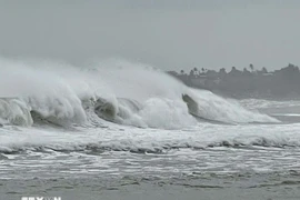 (Ảnh minh họa: Phạm Cường/TTXVN)