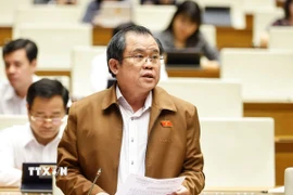 Đại biểu Quốc hội Thành phố Hồ Chí Minh Nguyễn Tâm Hùng phát biểu. (Ảnh: Doãn Tấn/TTXVN)