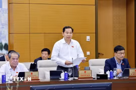 Tổng Thư ký Quốc hội, Chủ nhiệm Văn phòng Quốc hội Lê Quang Mạnh phát biểu. (Ảnh: Doãn Tấn/TTXVN)