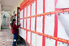Việc niêm yết danh sách và tiểu sử các ứng cử viên được các đơn vị bầu cử thực hiện theo đúng quy định. (Ảnh: Nguyễn Chinh/TTXVN)