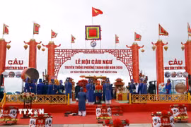 Quang cảnh Lễ hội Cầu ngư tại Đà Nẵng năm 2026. (Ảnh: Trần Lê Lâm/TTXVN)