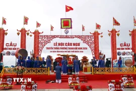 Quang cảnh Lễ hội Cầu ngư tại Đà Nẵng năm 2026. (Ảnh: Trần Lê Lâm/TTXVN)