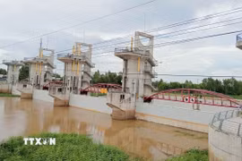 Cống Trà Sư sẽ được vận hành xả lũ vào lúc 10 giờ ngày 15/9/2025. (Ảnh: Công Mạo/TTXVN)
