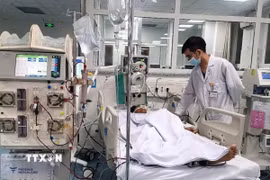 Ảnh minh họa. (Ảnh: TTXVN phát)