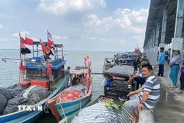 Người dân chờ làm thủ tục đăng ký, đăng kiểm tàu để ra khơi trở lại. (Ảnh: Huỳnh Phúc Hậu/TTXVN)