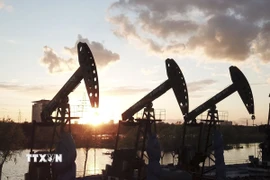 Ảnh minh họa. (Ảnh: THX/TTXVN)