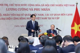 Chủ tịch nước Lương Cường nói chuyện với cán bộ, nhân viên Đại sứ quán, các cơ quan và đại diện cộng đồng người Việt Nam tại Ai Cập. (Ảnh: Lâm Khánh/TTXVN)