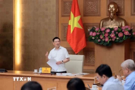 Phó Thủ tướng Hồ Đức Phớc phát biểu. (Ảnh: An Đăng/TTXVN)