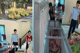 Lực lượng chức năng kiểm tra số thịt lợn nghi mắc dịch bệnh vừa thu giữ. (Ảnh: TTXVN phát)