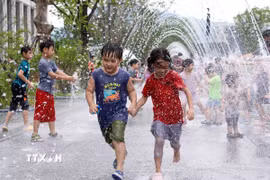 (Ảnh minh họa. THX/TTXVN)