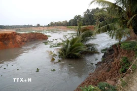Sạt lở nghiêm trọng tại bờ sông nhà Lê ở Thanh Hóa