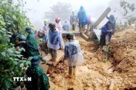 Lực lượng chức năng cùng người dân tổ chức tìm kiếm người mất tích. (Ảnh: TTXVN phát)