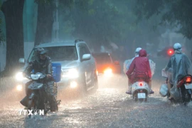 Mưa xối xả khiến phố Hàng Bài ngập nặng, ô tô phải bật đèn khi di chuyển. (Ảnh: Hoàng Hiếu/TTXVN)