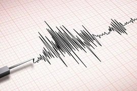 Ảnh minh họa. (Nguồn: Freepik)