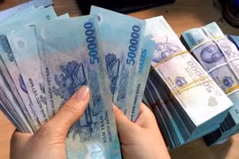 Ảnh minh họa. (Nguồn: Vietnam+)