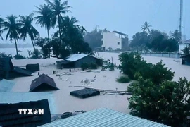 Mưa lớn trong những ngày qua gây ngập lụt trên diện rộng, chia cắt nhiều khu vực dân cư ở phía Đông tỉnh Đắk Lắk. (Ảnh: TTXVN phát)