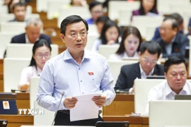 Đại biểu Quốc hội thành phố Hồ Chí Minh Phạm Trọng Nhân phát biểu. (Ảnh: Doãn Tấn/TTXVN)