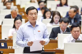 Đại biểu Quốc hội thành phố Hồ Chí Minh Phạm Trọng Nhân phát biểu. (Ảnh: Doãn Tấn/TTXVN)