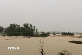 Nước lũ dâng cao làm vỡ đê bối sông Cầu tại tổ 33, phường Phan Đình Phùng, tỉnh Thái Nguyên. (Ảnh: Thảo Nguyên/TTXVN)