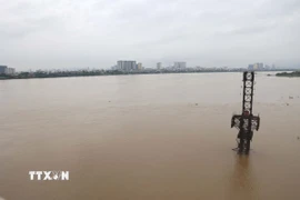 Mực nước sông Hồng đoạn chảy qua Thủ đô Hà Nội dâng cao chịu ảnh hưởng liên tiếp mưa lớn từ cơn bão số 10 và hoàn lưu vùng áp thấp suy yếu từ cơn bão số 11. (Ảnh: Vũ Quang Đán/TTXVN)