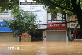 Nhiều tuyến phố thuộc phường Thục Phán (Cao Bằng) bị ngập sâu trong nước. (Ảnh: Chu Hiệu/TTXVN)