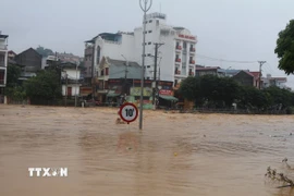 Nước sông Hiến lên nhanh, có thể gây ngập lụt ở các vùng trũng. (Ảnh: Chu Hiệu/TTXVN)