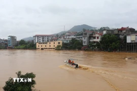 Lực lượng chức năng tuần tra trên sông Hiến. (Ảnh: Chu Hiệu/TTXVN)