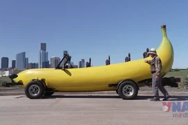 Những kỷ lục mới của Sách Kỷ lục Guiness 2026