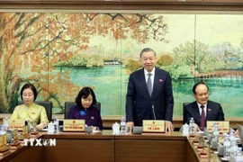 Tổng Bí thư Tô Lâm phát biểu tại tổ. (Ảnh: An Đăng/TTXVN)