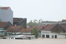 Đắk Lắk nhiều khu vực vẫn ngập sâu trong nước lũ. (Ảnh: Tuấn Anh/TTXVN)