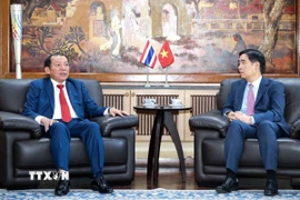Bộ trưởng Nguyễn Văn Hùng gợi mở ý tưởng tổ chức hoạt động văn hóa, thể thao, du lịch nhân kỷ niệm 50 năm thiết lập quan hệ ngoại giao Việt Nam-Thái Lan vào năm 2026. (Ảnh: TTXVN phát)