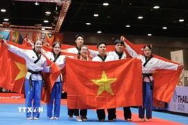 Taekwondo mang về tấm HCV về cho đoàn thể thao Việt Nam. (Ảnh: Minh Quyết/TTXVN)