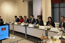 Đoàn công tác của Bộ Nội vụ tại cuộc làm việc với các lãnh đạo bang Thuringia. (Ảnh: Thu Hằng/TTXVN)