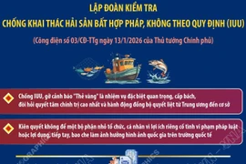 Thủ tướng chỉ đạo lập đoàn kiểm tra chống khai thác IUU