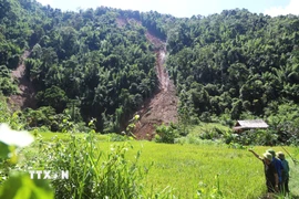 Cung sạt lở khổng lồ hình vòm xuất hiện trên núi có nguy cơ xảy ra sạt lở, đổ sập đất đá, cây rừng xuống suối Nậm Ngân rất cao. (Ảnh: Xuân Tiến/TTXVN)