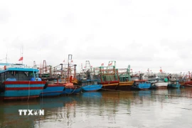 Chủ động ứng phó áp thấp nhiệt đới. (Ảnh: Nguyên Lý/TTXVN)