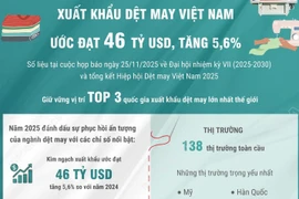 Xuất khẩu dệt may Việt Nam năm 2025 ước đạt 46 tỷ USD, tăng 5,6%