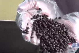 Càphê đặc sản của Việt Nam xuất khẩu đạt giá kỷ lục