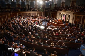 Toàn cảnh một phiên họp của Hạ viện Mỹ ở Washington DC. (Ảnh: THX/TTXVN)