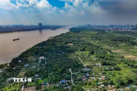 Hà Nội mở cơ chế khai thác đất bãi sông phục vụ nông nghiệp sinh thái. (Ảnh minh họa: Trung Nguyên/TTXVN)