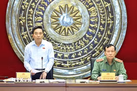 Phó Chủ tịch Quốc hội Nguyễn Doãn Anh làm việc với Ủy ban Quốc phòng An ninh và Đối Ngoại của Quốc hội. (Ảnh: Minh Đức/TTXVN)