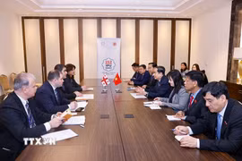 Chủ tịch Quốc hội Trần Thanh Mẫn gặp Chủ tịch Quốc hội Gruzia Shalva Papuashvili. (Ảnh: Doãn Tấn/TTXVN)