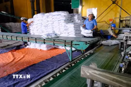 Ngành mía đường Việt Nam đang đối mặt với những thách thức ngày càng nghiêm trọng (Ảnh: TTXVN)