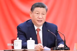 Chủ tịch Trung Quốc Tập Cận Bình. (Ảnh: THX/TTXVN)